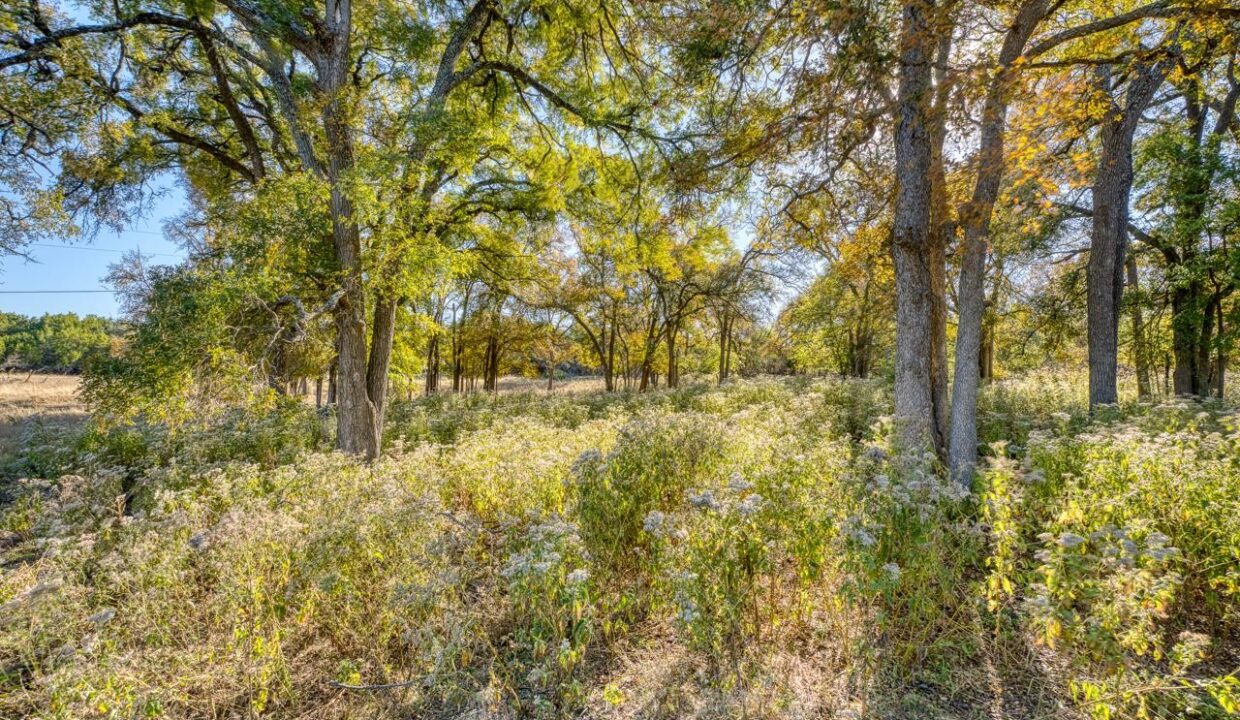 Firefly-Ranch_Bell-County-Acerage_Property1