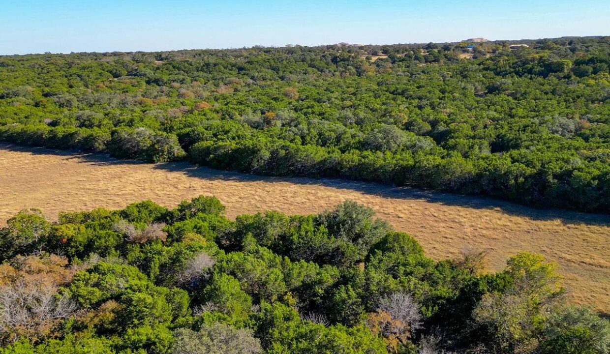 Firefly-Ranch_Bell-County-Acerage_Property11