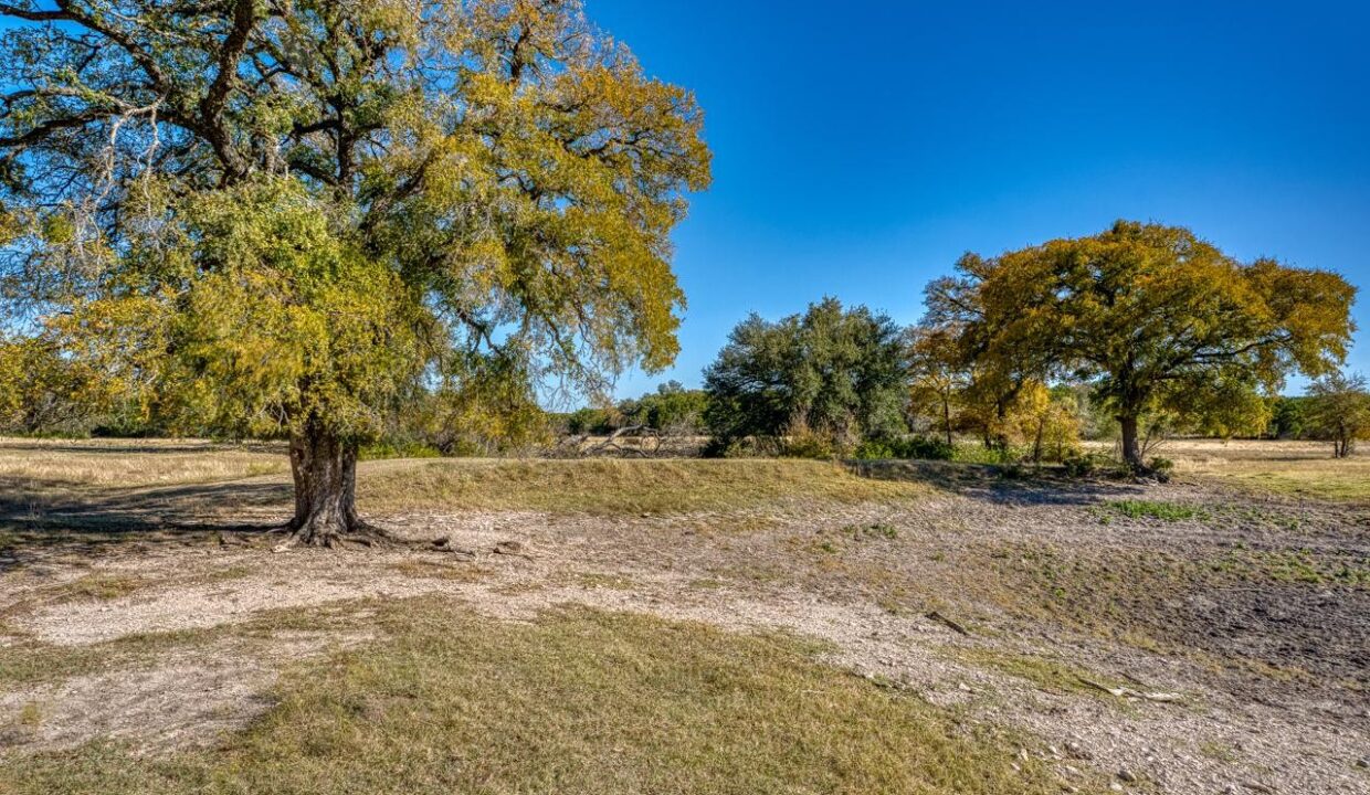 Firefly-Ranch_Bell-County-Acerage_Property14