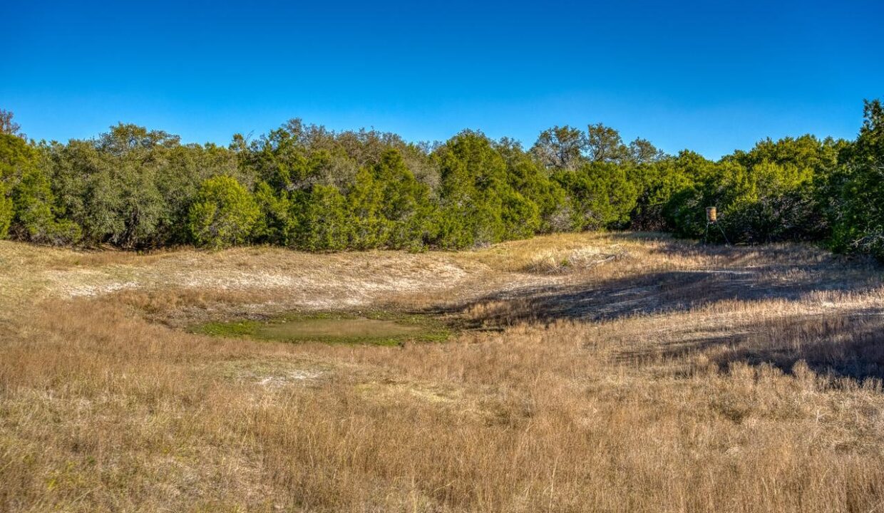 Firefly-Ranch_Bell-County-Acerage_Property15