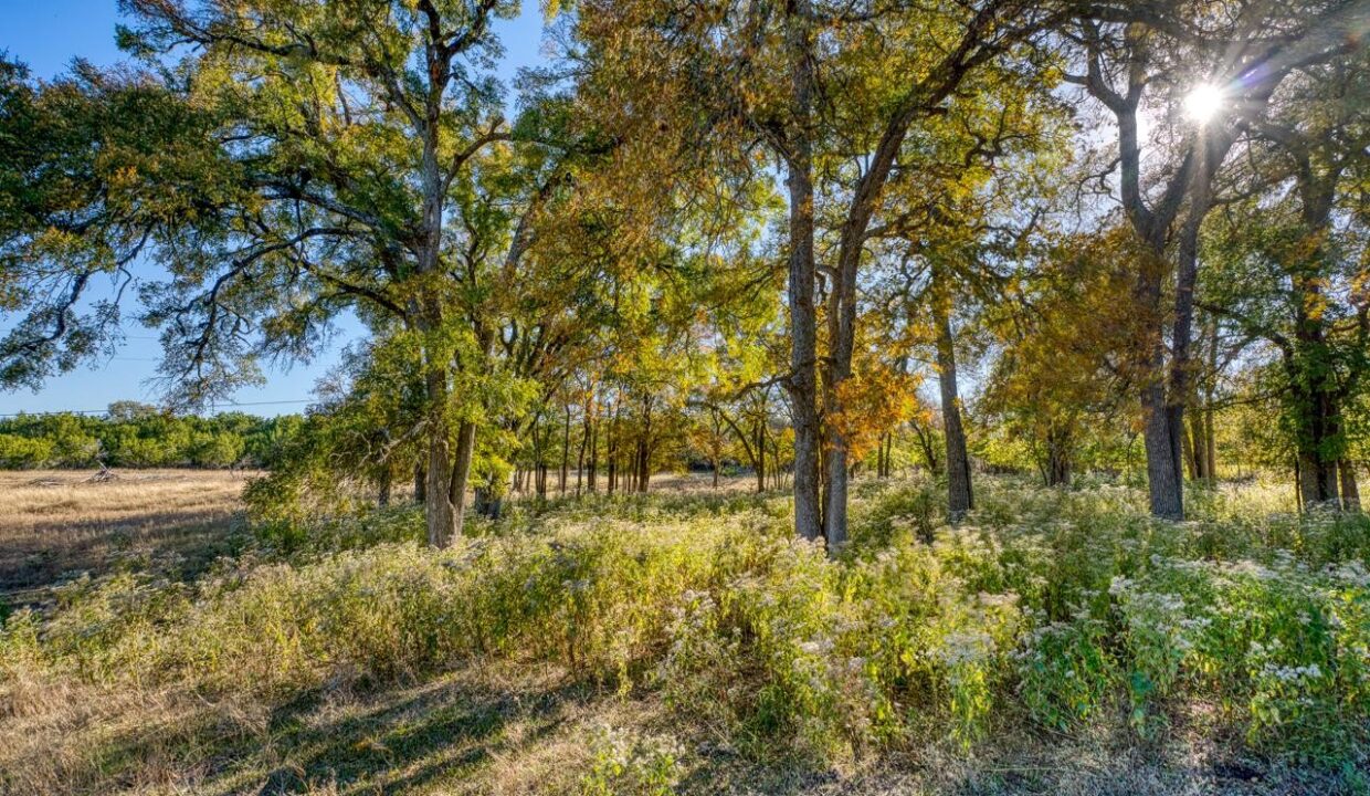 Firefly-Ranch_Bell-County-Acerage_Property16