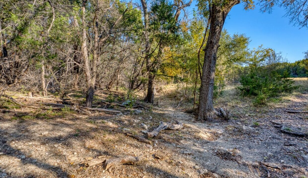 Firefly-Ranch_Bell-County-Acerage_Property18