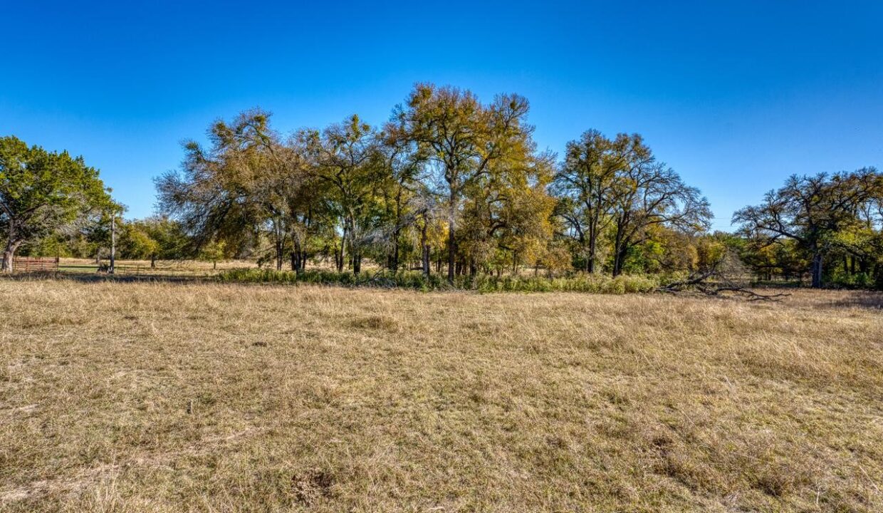 Firefly-Ranch_Bell-County-Acerage_Property2