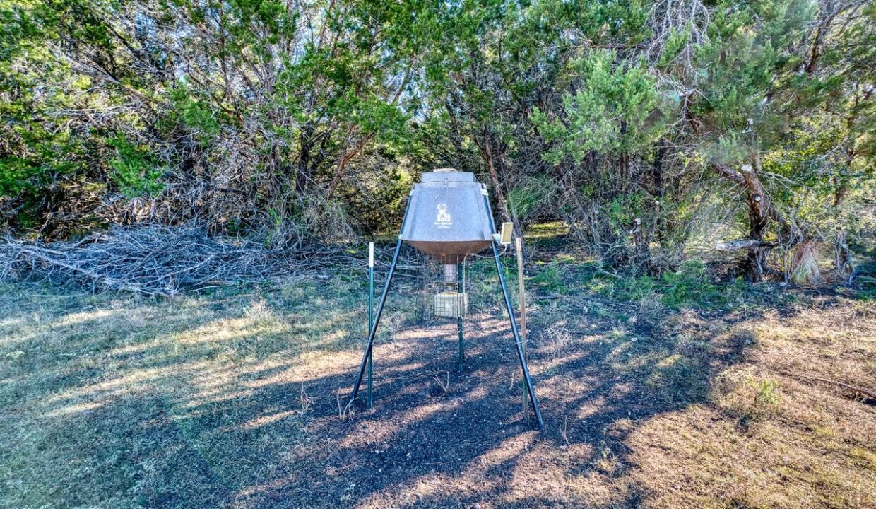 Firefly-Ranch_Bell-County-Acerage_Property22