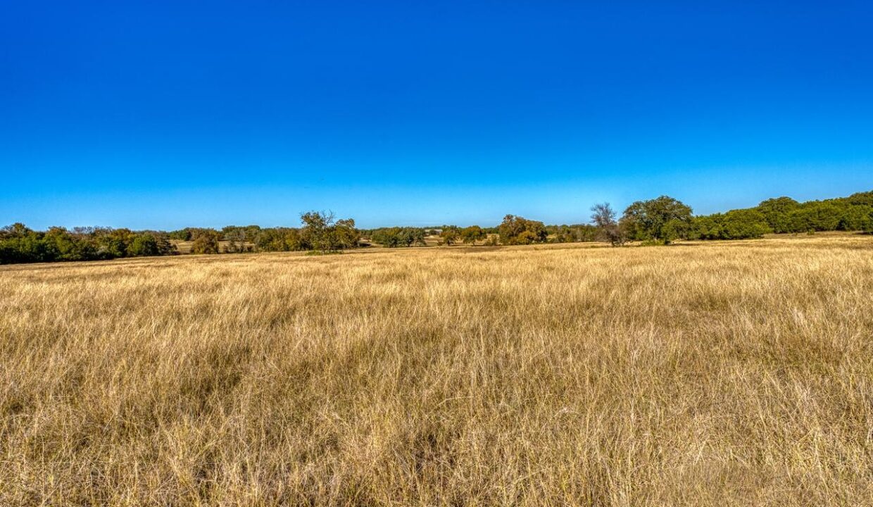 Firefly-Ranch_Bell-County-Acerage_Property23
