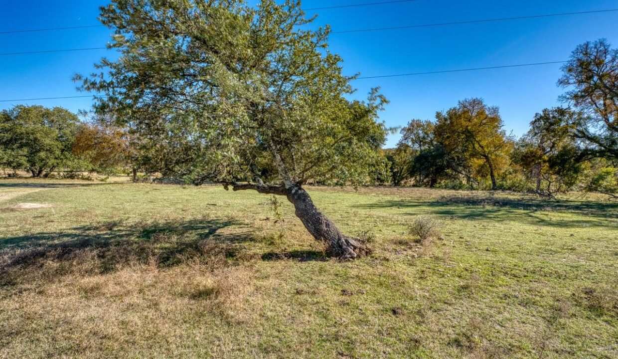 Firefly-Ranch_Bell-County-Acerage_Property5