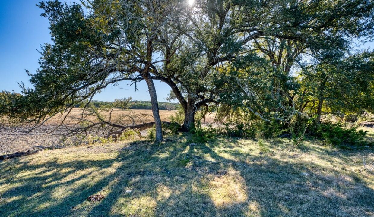 Firefly-Ranch_Bell-County-Acerage_Property8