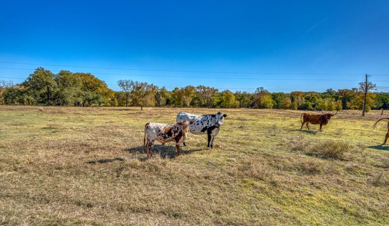Firefly-Ranch_Bell-County-Structure_Property5