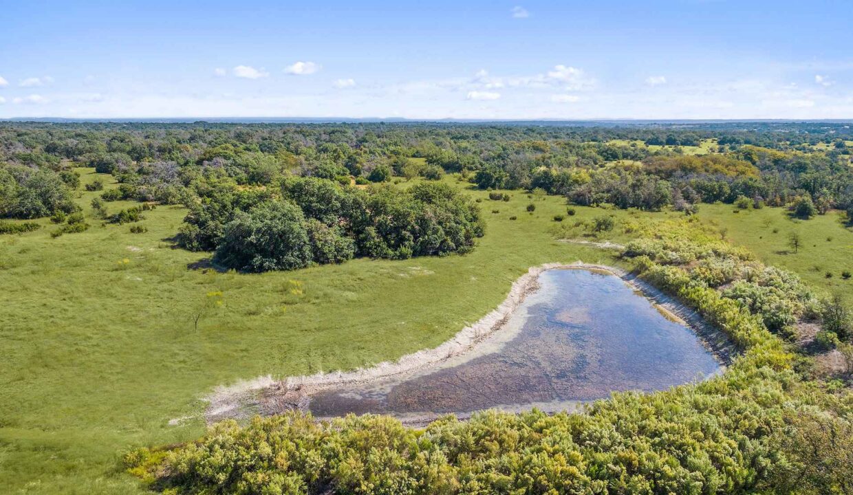 Aerial view of a green landscape with scattered trees and a small, irregularly-shaped pond surrounded by grass and shrubs under a clear blue sky.