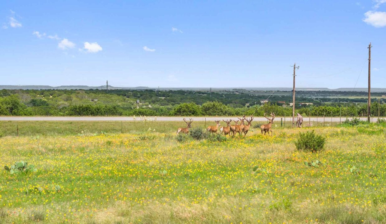 Underwood_Ranch-Lampasas County-Ranch_House-Exterior-Wildlife_Property3