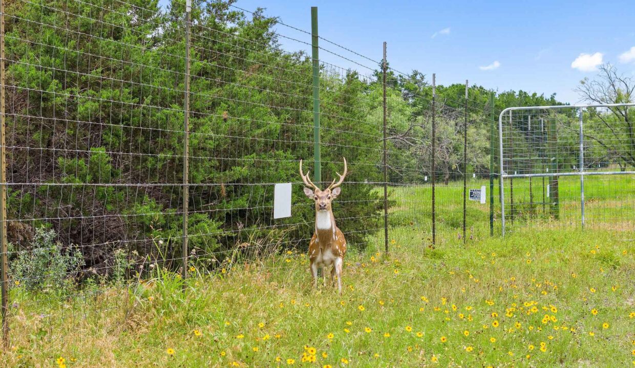 Underwood_Ranch-Lampasas County-Ranch_House-Exterior-Wildlife_Property4