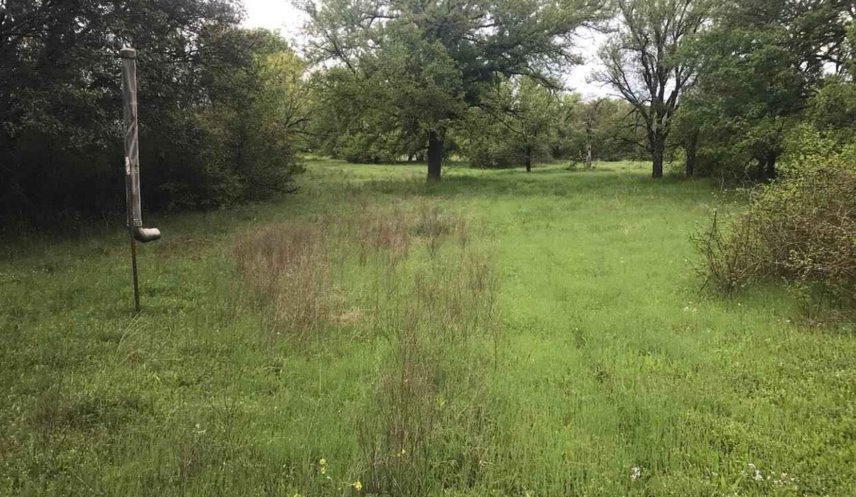 A grassy field with patches of wildflowers and tall grass, bordered by bushes and large leafy trees under a cloudy sky. A tall, thin metal pole with a small object on top stands on the left side of the field.