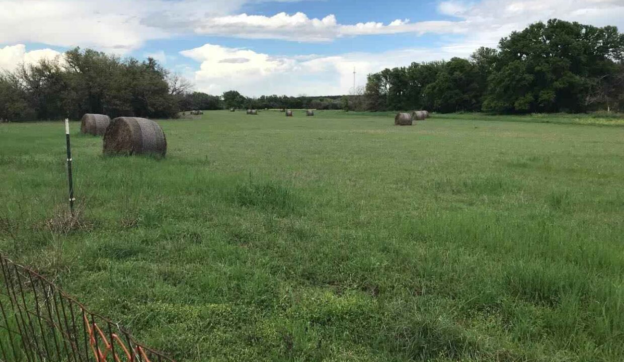 A grassy field with round hay bales scattered throughout, bordered by trees under a partly cloudy blue sky. A wire fence with orange mesh runs along the foreground.