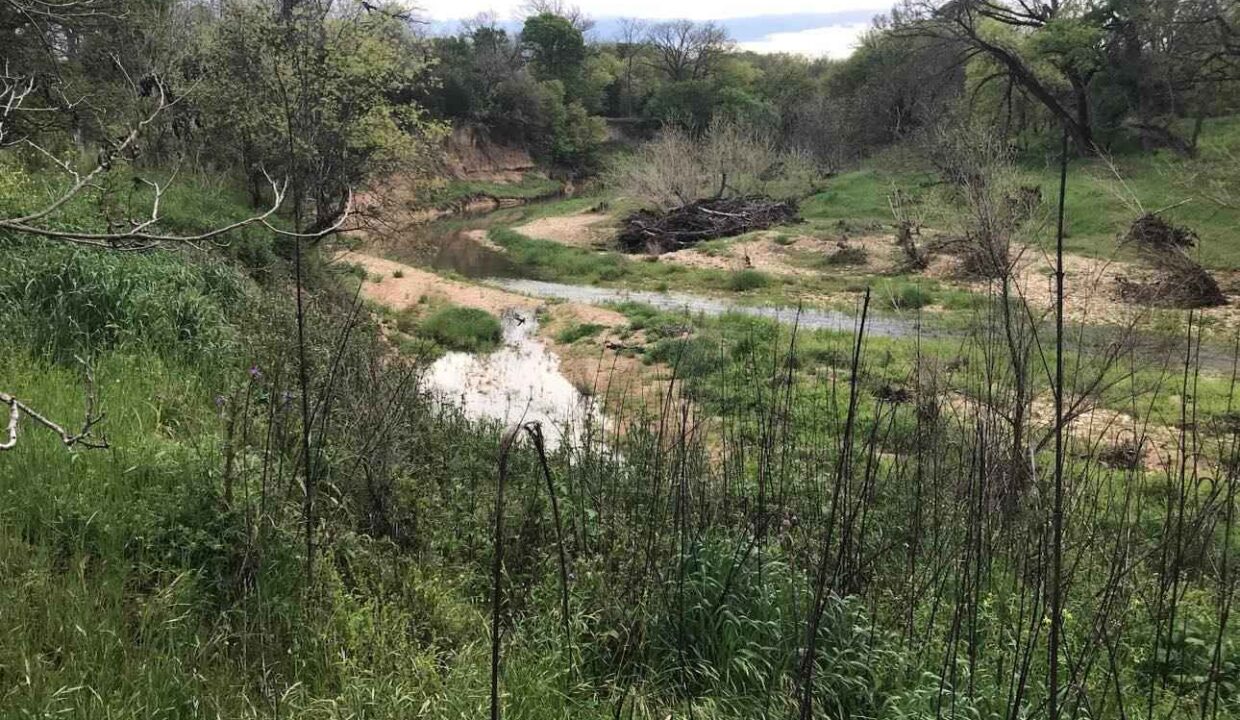 A small creek winds through a grassy, partially wooded area with patches of sand and scattered brush, surrounded by sparse trees under a cloudy sky.