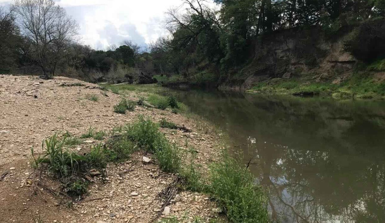 A calm river flows beside a rocky, sandy bank with green grass and plants. Trees with thin and leafy branches line the opposite side under a partly cloudy sky.