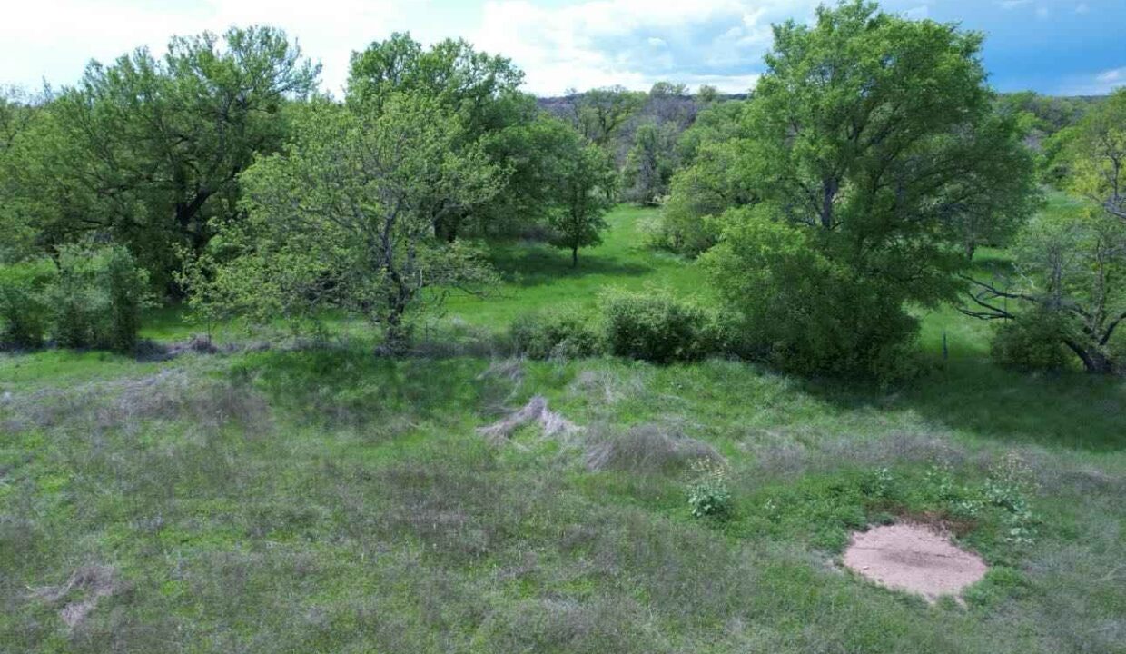 A grassy field with scattered green trees under a partly cloudy sky. In the foreground, there is a patch of bare soil surrounded by grass and vegetation.