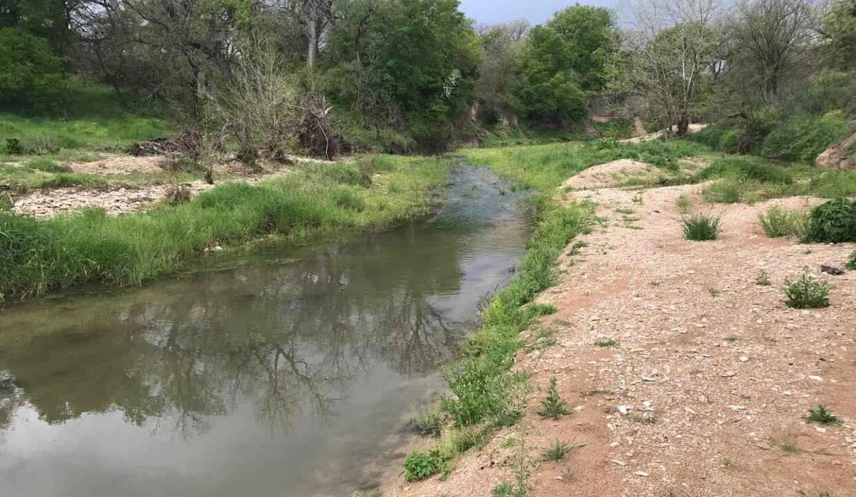 A shallow stream flows through a natural landscape with sandy banks and green vegetation. Trees with sparse leaves line the waters edge, and the sky is overcast.