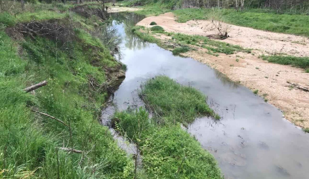 A narrow, shallow creek flows through a grassy landscape with eroded banks, green vegetation, and some exposed sandbars under a cloudy sky and surrounded by trees.