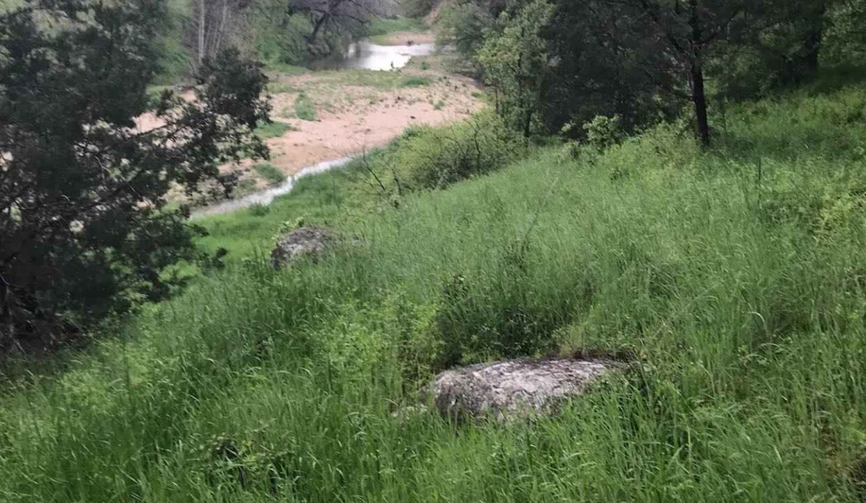 A grassy hillside with rocks and tall green trees overlooks a winding river below, surrounded by lush vegetation and a cloudy sky in the background.